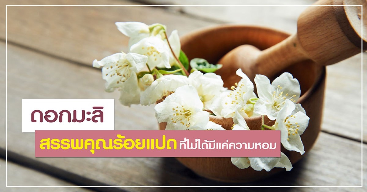 ดอกมะลิ สรรพคุณร้อยแปด ที่ไม่ได้มีแค่ความหอม